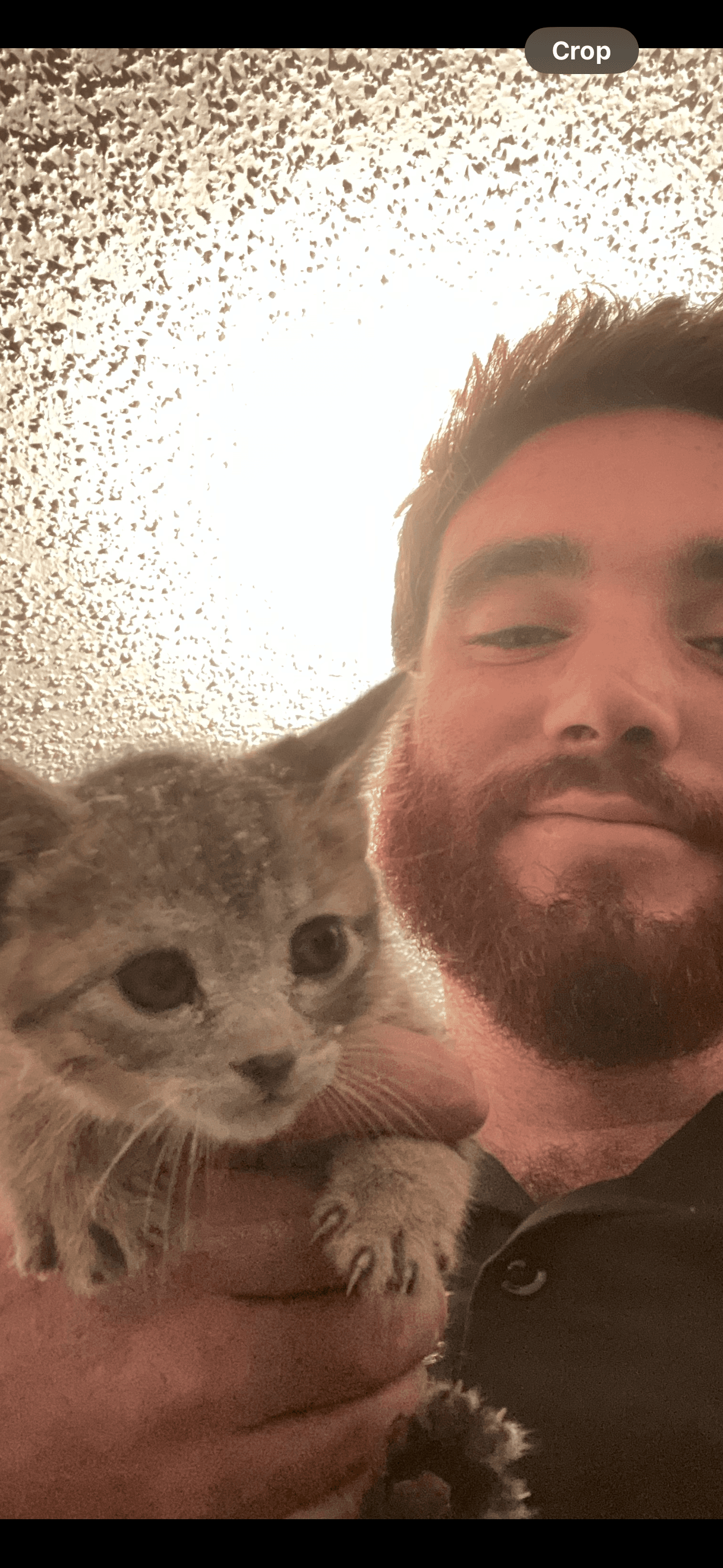 Sullivan McKee with a rescued kitten
