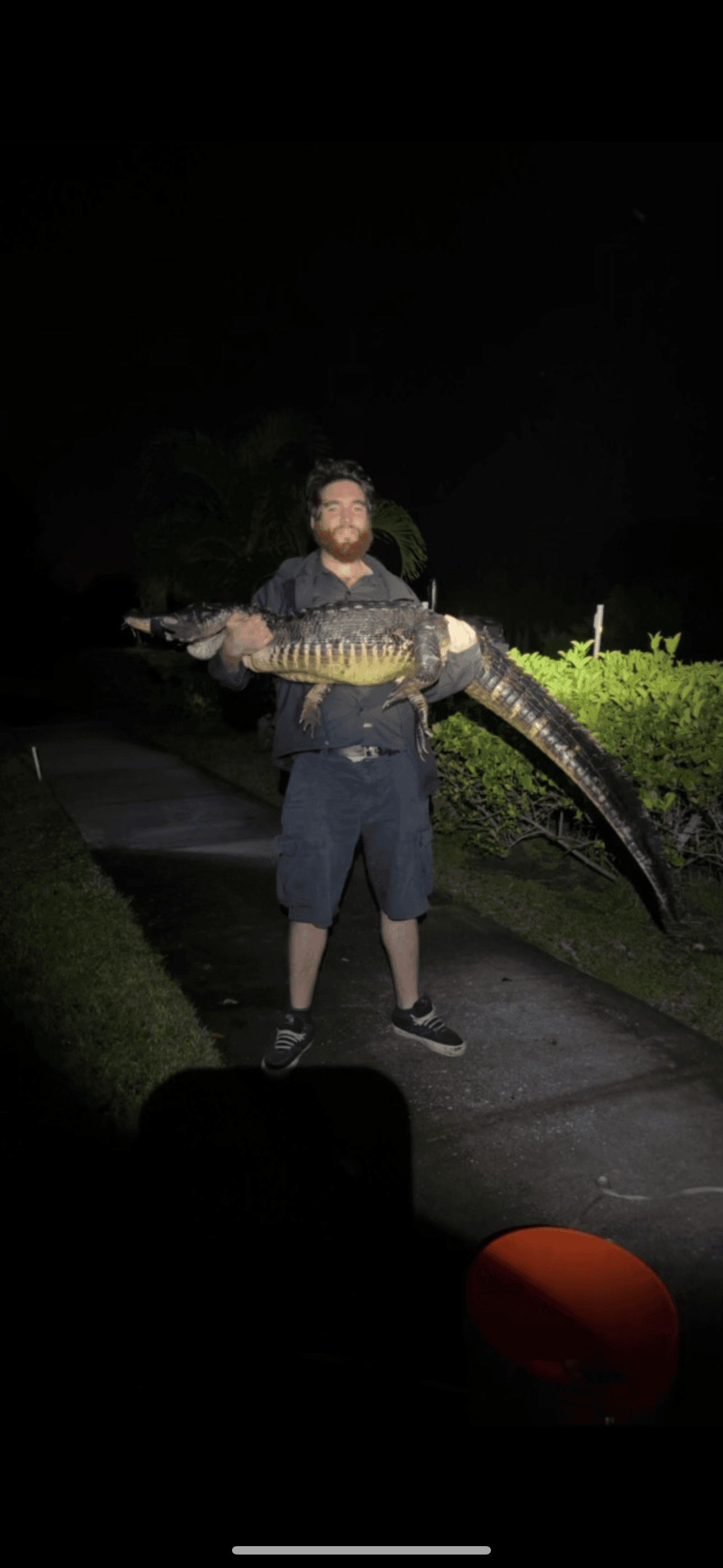 Sullivan McKee holding an alligator on a night call