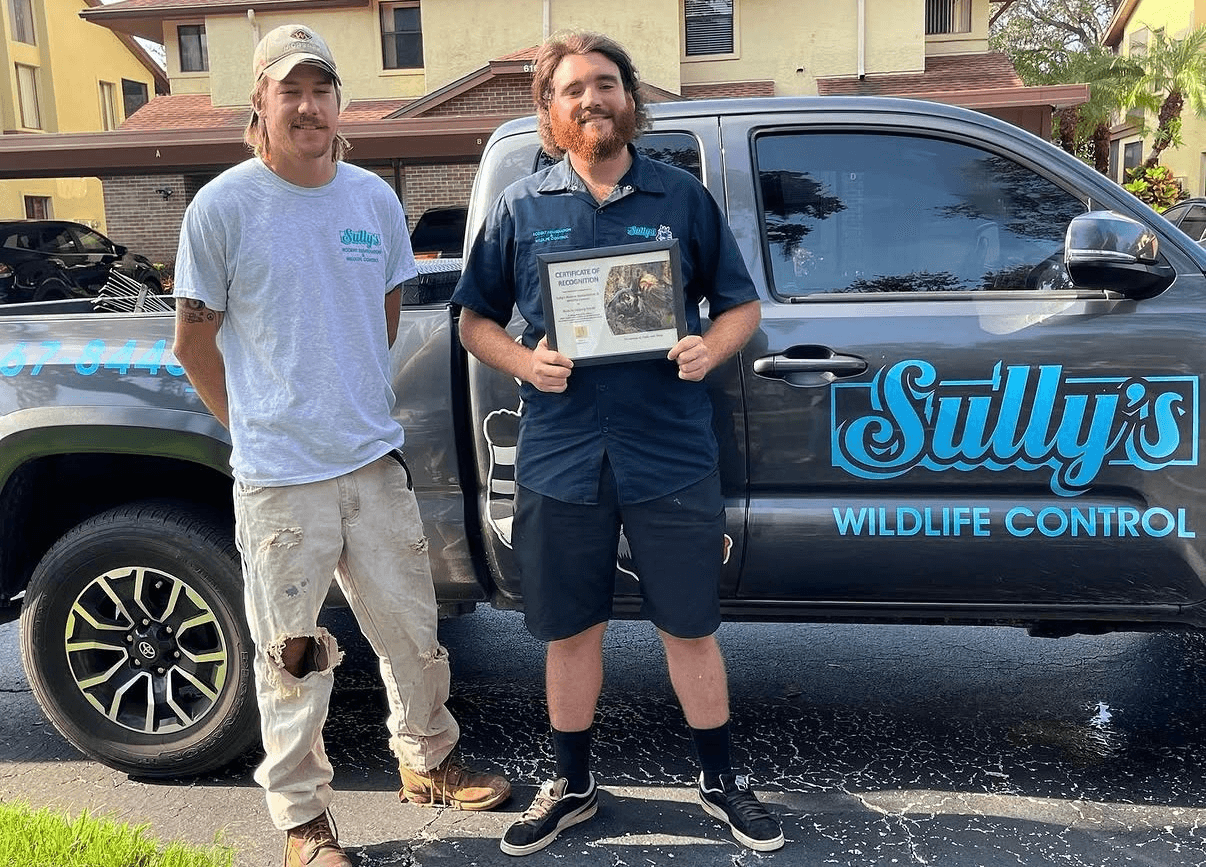 Sully's Wildlife Control team with Sully's truck — Safety Harbor certificate of recognition